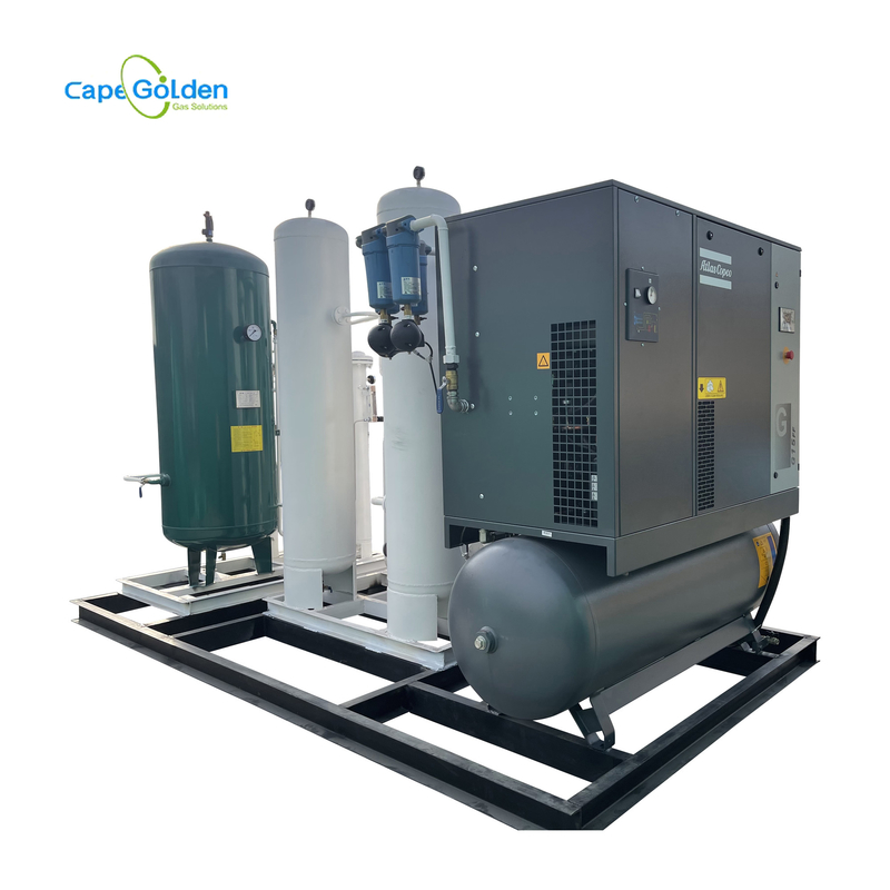 Fabricante industrial/médico Plant Oxygen Concentrator del cilindro oxígeno-gas de relleno vendedor caliente